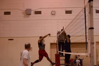 DSC_1994 (Large).JPG